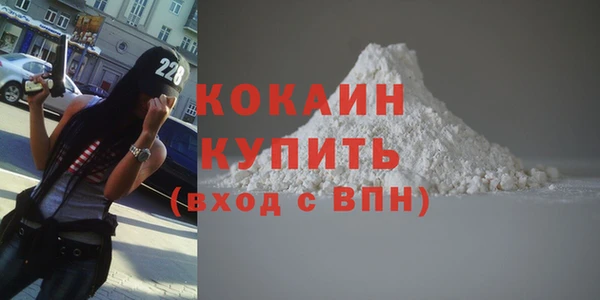 ешки Горняк