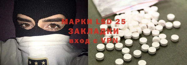 ешки Горняк