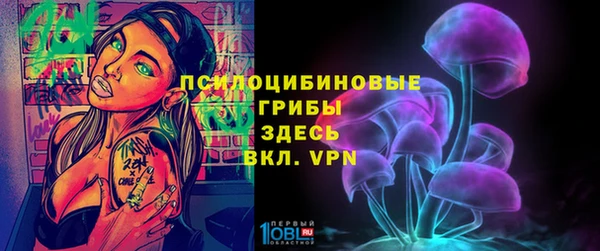 бутират Горнозаводск