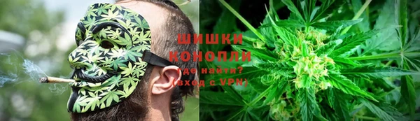 ешки Горняк
