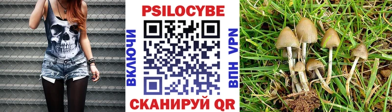 Купить закладки  Ревда  Галлюциногенные грибы ЛСД 
